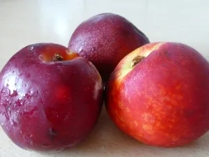 Rezept: Ein nettes Mitbringsel aus der Küche Bild Nr. 3 Ein nettes Mitbringsel aus der Küche - Rezept - Bild Nr. 3