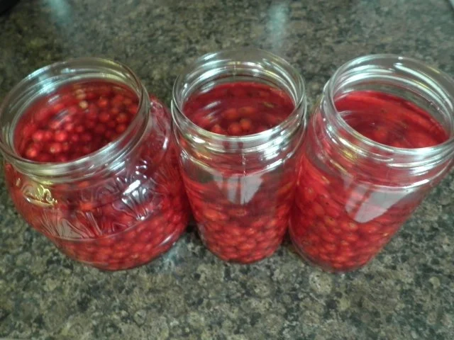 Johannisbeerlikör - Rezept - Bild Nr. 9