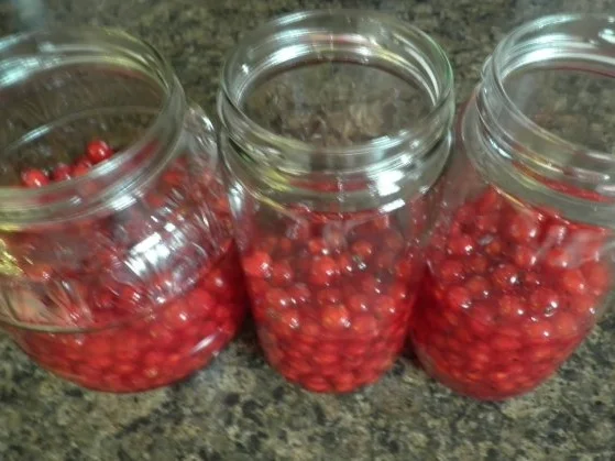 Johannisbeerlikör - Rezept - Bild Nr. 8