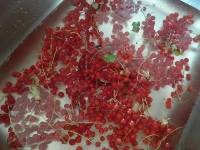 Johannisbeerlikör - Rezept - Bild Nr. 4