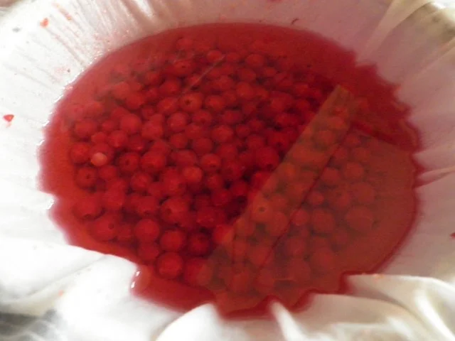 Johannisbeerlikör - Rezept - Bild Nr. 11