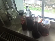 Löwenzahnblütenlikör - Rezept