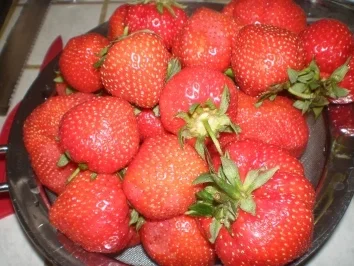 Rezept: Erdbeerkuchen mit Schokoladenpudding Bild Nr. 4 Erdbeerkuchen mit Schokoladenpudding - Rezept - Bild Nr. 4