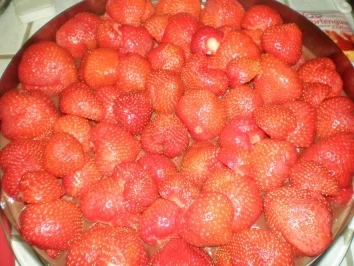 Rezept: Erdbeerkuchen mit Schokoladenpudding Bild Nr. 5 Erdbeerkuchen mit Schokoladenpudding - Rezept - Bild Nr. 5