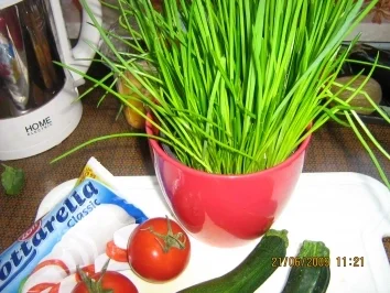 Zucchini-Mozarella-Päckchen - Rezept - Bild Nr. 3