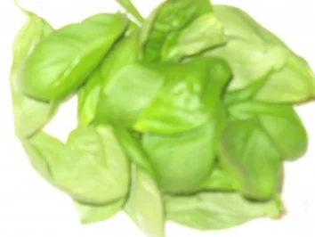 Rezept: portugisische tomatencremesuppe Bild Nr. 5 portugisische tomatencremesuppe - Rezept - Bild Nr. 5