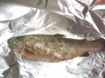 Rezept: Forelle nach Hausmacher Art Forelle nach Hausmacher Art - Rezept