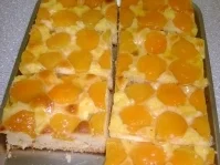 Blechkuchen mit Marillen (Aprikosen) - Rezept