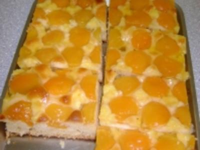 Rezept: Blechkuchen mit Marillen (Aprikosen) Blechkuchen mit Marillen (Aprikosen) - Rezept