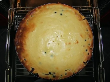 Rezept: Blaubeer-Käsekuchen Bild Nr. 4 Blaubeer-Käsekuchen - Rezept - Bild Nr. 4