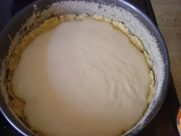 Rezept: Aprikosen -Streuselkuchen Bild Nr. 5 Aprikosen -Streuselkuchen - Rezept - Bild Nr. 5