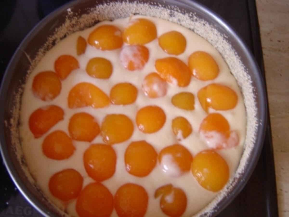 Aprikosen -Streuselkuchen - Rezept - Bild Nr. 6