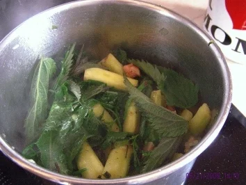 Rezept: Brennesselsuppe mit Spargelreste Bild Nr. 5 Brennesselsuppe mit Spargelreste - Rezept - Bild Nr. 5