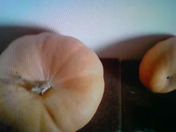 Rezept: Kürbiscremesuppe Bild Nr. 4 Kürbiscremesuppe - Rezept - Bild Nr. 4