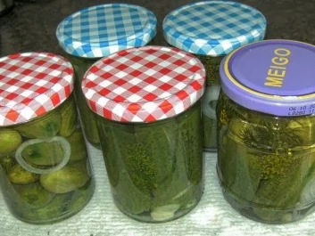 Rezept: Gewürzgurken Bild Nr. 2 Gewürzgurken - Rezept - Bild Nr. 2