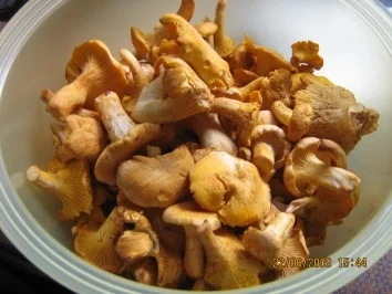 Rezept: Badische Pfifferling - Pfannkuchen Bild Nr. 2 Badische Pfifferling - Pfannkuchen - Rezept - Bild Nr. 2