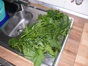 Carbonara Frankfurt - Rezept