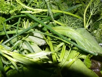 Carbonara Frankfurt - Rezept - Bild Nr. 2