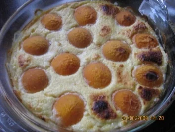 Aprikosen-Auflauf - Rezept - Bild Nr. 7