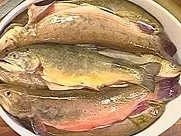 Eingelegte Saiblinge mit Zwiebel und Ingwer - Rezept