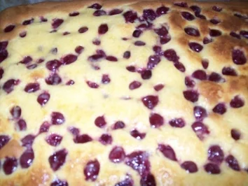 Rezept: Pfaumen -Schmandkuchen Bild Nr. 3 Pfaumen -Schmandkuchen - Rezept - Bild Nr. 3