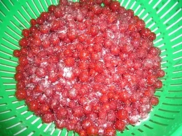 Rezept: Kikis Johannisbeer-Walnusstreusel-Kuchen Bild Nr. 5 Kikis Johannisbeer-Walnusstreusel-Kuchen - Rezept - Bild Nr. 5