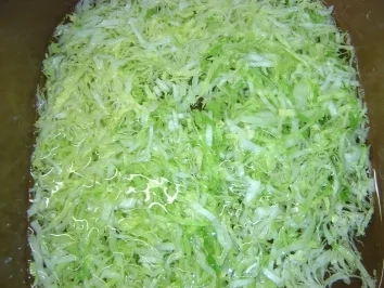 Endiviensalat - Rezept - Bild Nr. 3