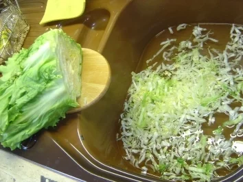 Endiviensalat - Rezept - Bild Nr. 2