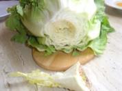 Endiviensalat - Rezept