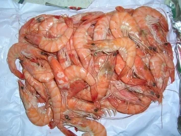 Scampi Buzzara - Rezept - Bild Nr. 2