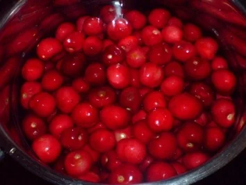 Süßkirsch-Kompott - Rezept - Bild Nr. 5