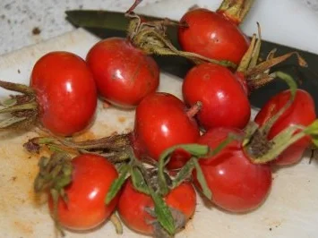 Hagebuttenmarmelade - Rezept - Bild Nr. 2