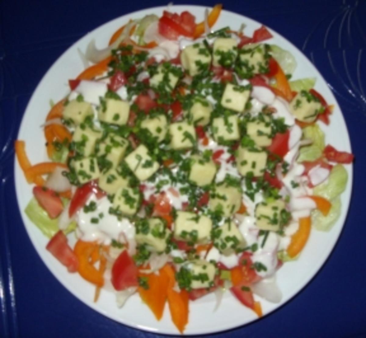 Mein großer Salatteller mit Appenzeller-Käse und Joghurt/Sahne-Dressing - Rezept - Bild Nr. 5