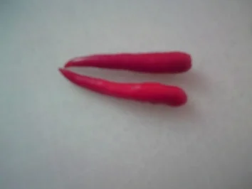 Bee und der Papaya Salat - Rezept - Bild Nr. 5