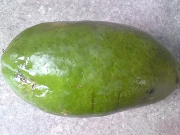 Bee und der Papaya Salat - Rezept - Bild Nr. 7