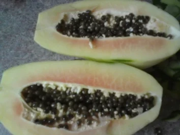 Bee und der Papaya Salat - Rezept - Bild Nr. 9