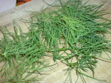 Gurke mit Joghurt - Rezept - Bild Nr. 6