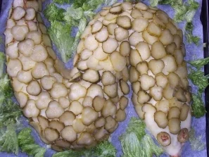 Rezept: Schlange Schlange - Rezept