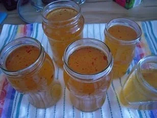 Rezept: Cidre-Chili-Gelee Bild Nr. 4 Cidre-Chili-Gelee - Rezept - Bild Nr. 4