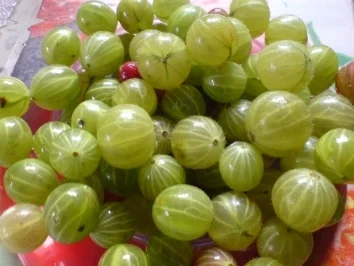 Stachelbeer-Schnee-Torte - Rezept - Bild Nr. 5