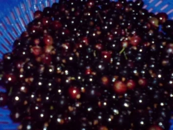 Rezept: Schwarze Johannisbeere-Erdbeermarmelade Bild Nr. 2 Schwarze Johannisbeere-Erdbeermarmelade - Rezept - Bild Nr. 2