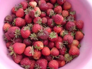 Abendlicher Hähnchen-Snag - Rezept - Bild Nr. 5