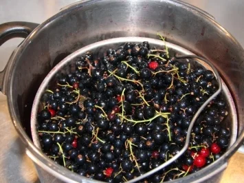 Rezept: Gelee aus schwarzen, weißen oder roten Johannisbeeren mit Schuss Bild Nr. 2 Gelee aus schwarzen, weißen oder roten Johannisbeeren mit Schuss - Rezept - Bild Nr. 2