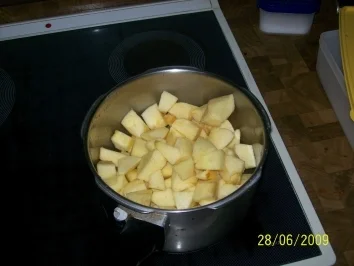 Apfelkuchen mit Aprikose - Rezept - Bild Nr. 4