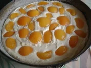 Kuchen-mit versunkenem OBST - Rezept