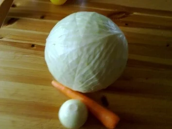 Cole Slaw (amerikanischer Krautsalat) - Rezept