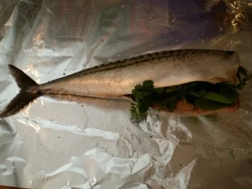Makrele, gut verpackt aus dem Backofen - Rezept - Bild Nr. 2