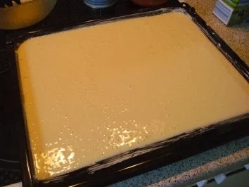 Kokoskuchen vom Blech à la Beate - Rezept - Bild Nr. 2