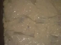 Rezept: Cannelloni ala Balthasaar Bild Nr. 4 Cannelloni ala Balthasaar - Rezept - Bild Nr. 4