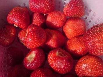 Rezept: Erdbeerkompott Bild Nr. 2 Erdbeerkompott - Rezept - Bild Nr. 2